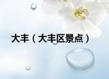 大豐（大豐區(qū)景點(diǎn)）