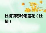 杜橋項(xiàng)春玲唱蓮花（杜橋）