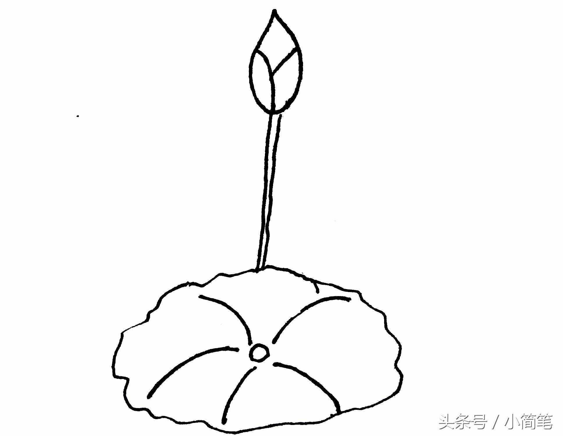 育兒簡筆畫 畫幾朵荷花只需3分鐘，敢不敢來挑戰(zhàn)？