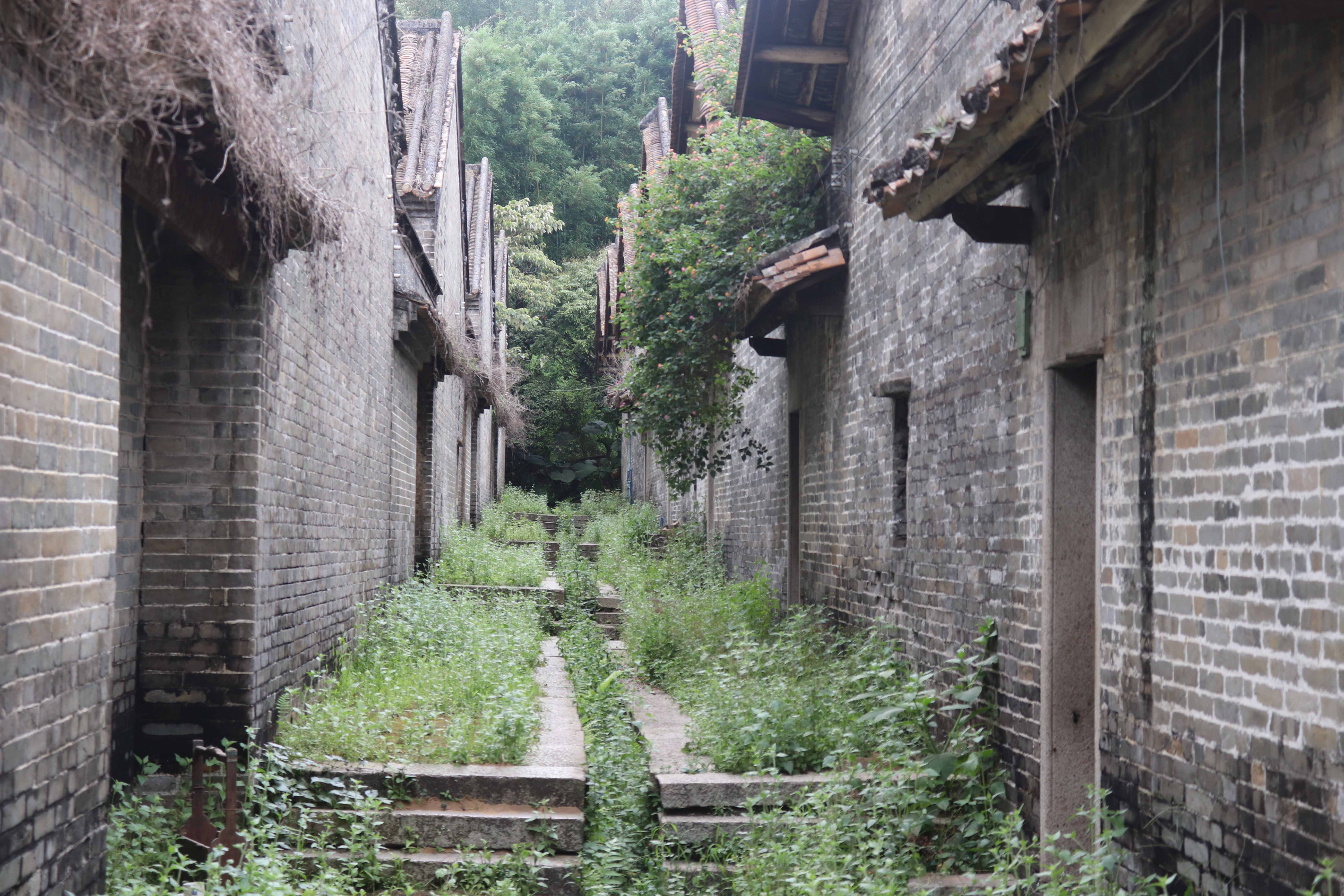 探訪從化鐘樓古村，隱身都市中的又一座荒村