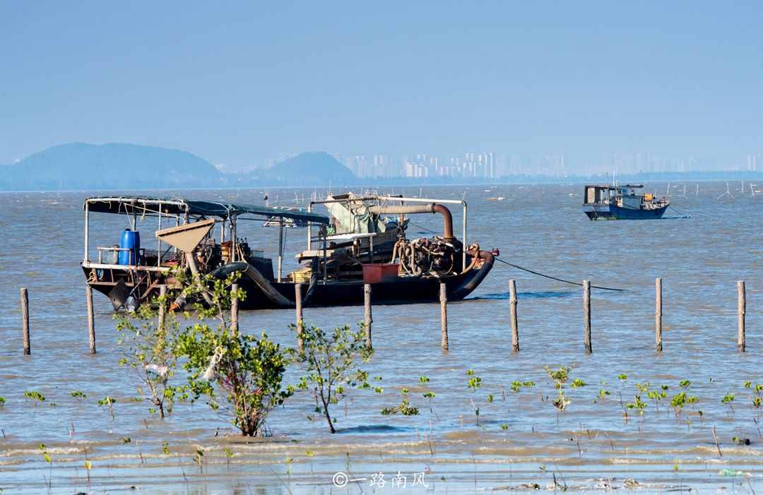 陽江海陵島，既是廣東第四大島，也是“中國十大最美海島”之一