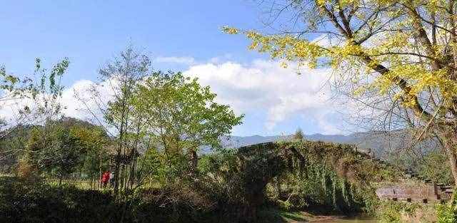 碧峰峽旅游景區(qū)推薦耍法