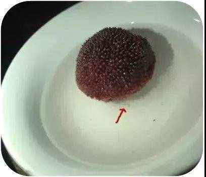 鹽水一泡白色小蟲密密麻麻！楊梅吃還是不吃？醫(yī)生做了個(gè)實(shí)驗(yàn)