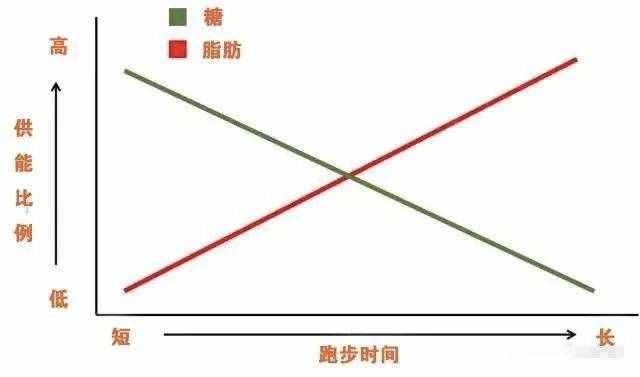 晚上跑步真的會瘦嗎？腿會變粗嗎？