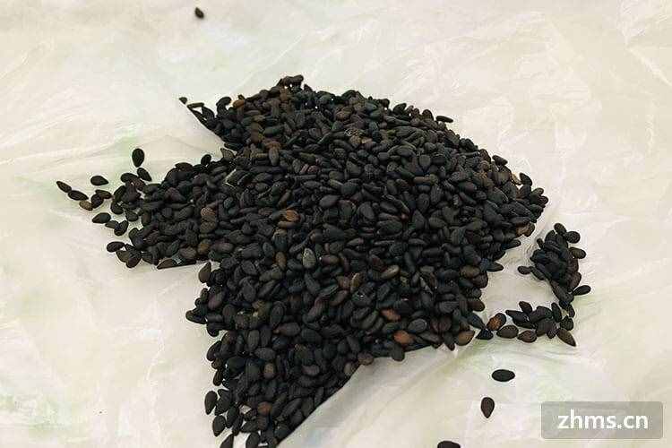 粗纖維食品有哪些