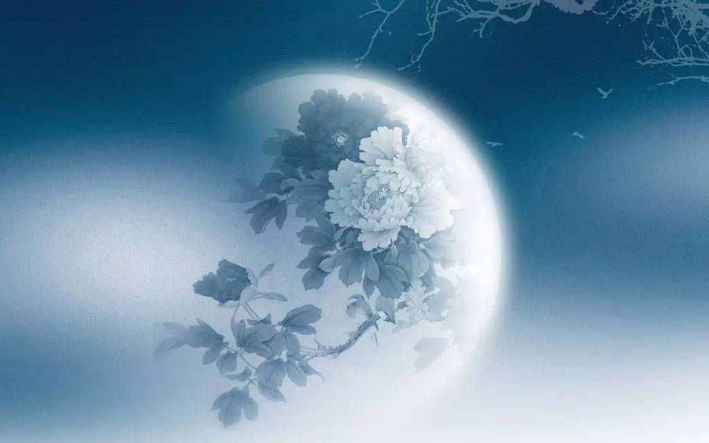 “但愿人長(zhǎng)久，千里共嬋娟”，嬋娟到底是什么意思？