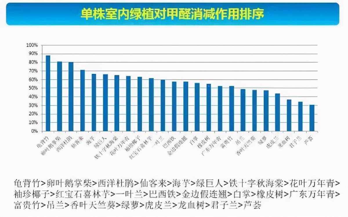 24種花，凈化空氣最厲害，綠蘿竟然倒數(shù)