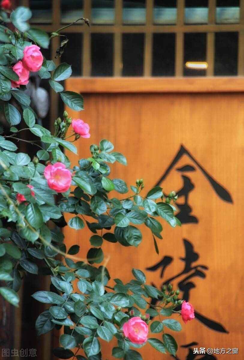 南京，為什么叫做：金陵？