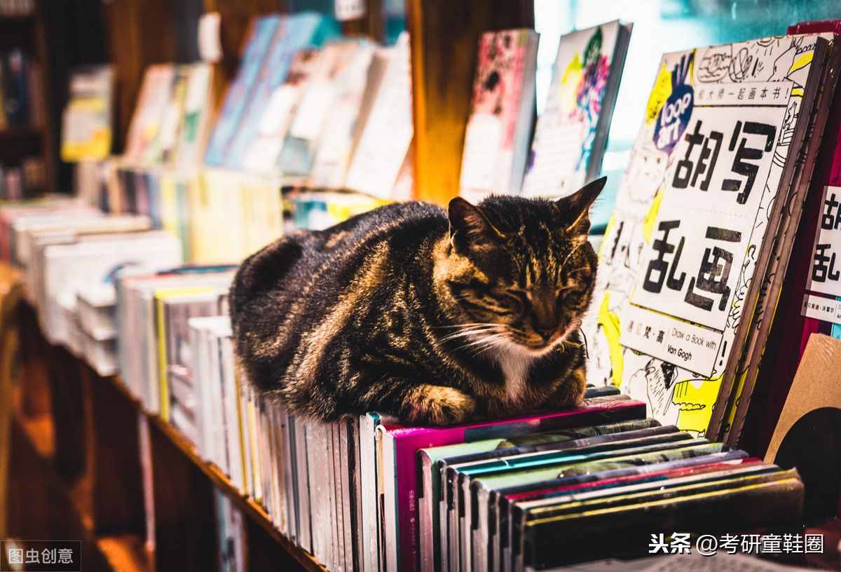 法學考研都考哪些科目？如何備考？
