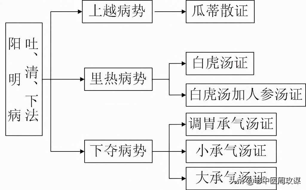 六經(jīng)辨證治法圖解