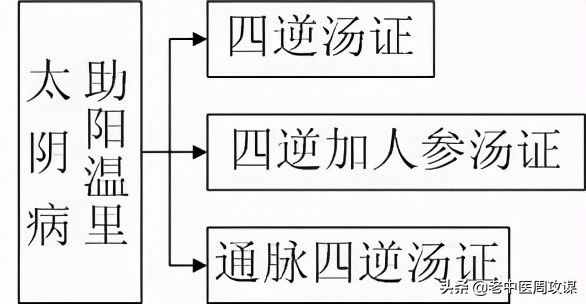六經(jīng)辨證治法圖解