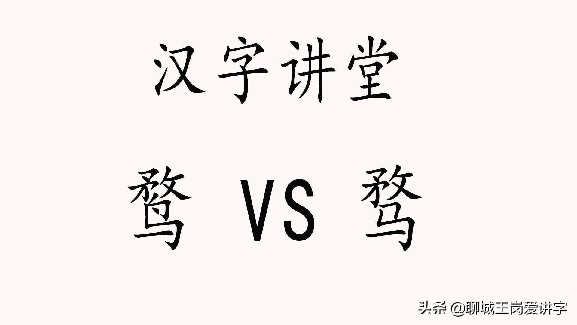 漢字課堂：“鶩”和“騖”有什么區(qū)別？一只野鴨，一匹馬