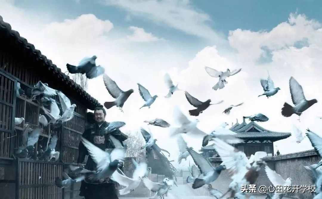 漲知識了，“放鴿子”原來是這么來的