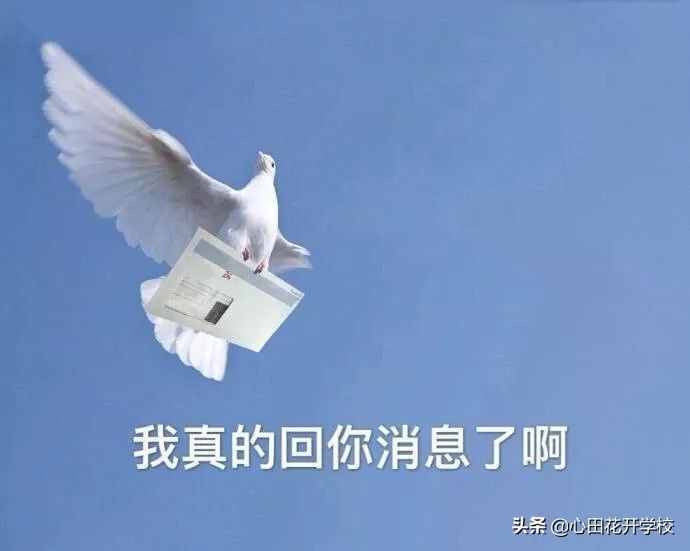 漲知識了，“放鴿子”原來是這么來的