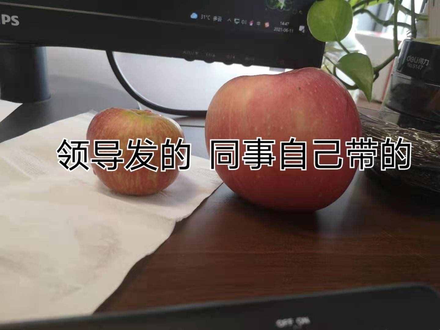 公司端午節(jié)福利有多“寒酸”？網(wǎng)友：就這玩意？還不如什么都不送