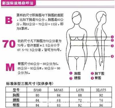 三圍是哪三圍 三圍怎么測量 三圍尺碼圖