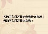 天地不仁以萬物為芻狗什么意思（天地不仁以萬物為芻狗）