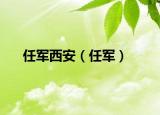 任軍西安（任軍）