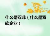什么是雙非（什么是雙軟企業(yè)）