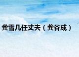 龔雪幾任丈夫（龔谷成）