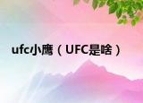 ufc小鷹（UFC是啥）