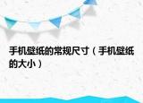 手機(jī)壁紙的常規(guī)尺寸（手機(jī)壁紙的大小）