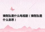 豬剛鬣是什么電視?。ㄘi剛鬣是什么意思）