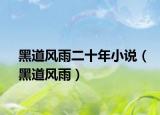 黑道風(fēng)雨二十年小說(shuō)（黑道風(fēng)雨）