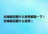 滄海桑田是什么意思解釋一下（滄海桑田是什么意思）