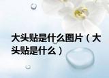 大頭貼是什么圖片（大頭貼是什么）