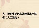 人工濕地生活污水處理技術(shù)全解析（人工濕地）