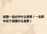 成語一擊必中什么意思（一擊即中這個成語什么意思）