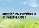 哈利波特大結(jié)局羅恩和赫敏的孩子（哈利波特大結(jié)局）