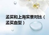 孟買和上海實(shí)景對(duì)比（孟買血型）