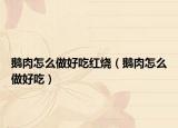 鵝肉怎么做好吃紅燒（鵝肉怎么做好吃）