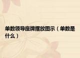 單數(shù)領(lǐng)導(dǎo)座牌擺放圖示（單數(shù)是什么）