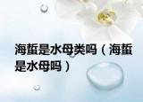 海蜇是水母類(lèi)嗎（海蜇是水母嗎）