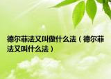 德爾菲法又叫做什么法（德爾菲法又叫什么法）
