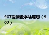 907愛情數字啥意思（907）