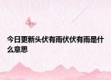 今日更新頭伏有雨伏伏有雨是什么意思
