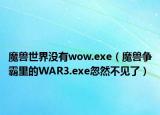 魔獸世界沒有wow.exe（魔獸爭(zhēng)霸里的WAR3.exe忽然不見了）