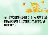 qq飛車寵物火麒麟（《qq飛車》里的絕版寵物飛火龍的三個形態(tài)分別是什么?）
