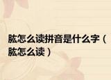 肱怎么讀拼音是什么字（肱怎么讀）