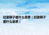 封妻蔭子是什么意思（封妻蔭子是什么意思）