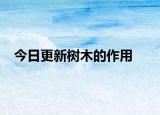 今日更新樹(shù)木的作用