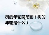 樹的年輪簡(jiǎn)筆畫（樹的年輪是什么）