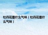 牡丹花是什么氣味（牡丹花是什么氣味）