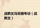 戰(zhàn)鶴文馮采薇專訪（戰(zhàn)鶴文）