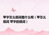 蘋字怎么組詞是什么呢（蘋怎么組詞 蘋字的組詞）