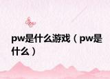 pw是什么游戲（pw是什么）